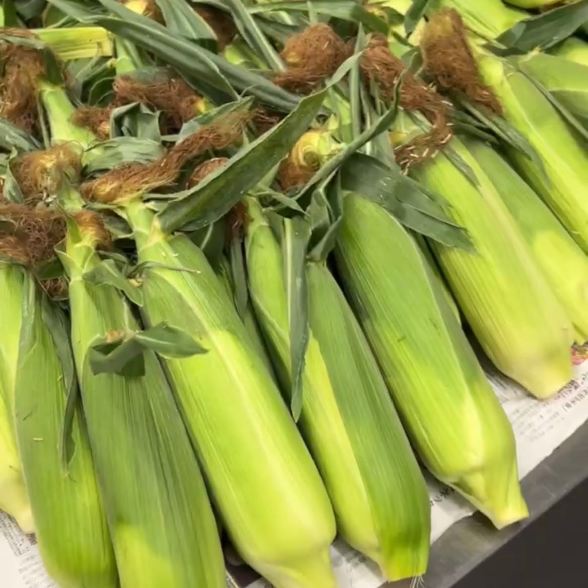 【北海道函館産とうもろこし使用】ふたつの甘み、きらめく白と金の冷製キッシュ